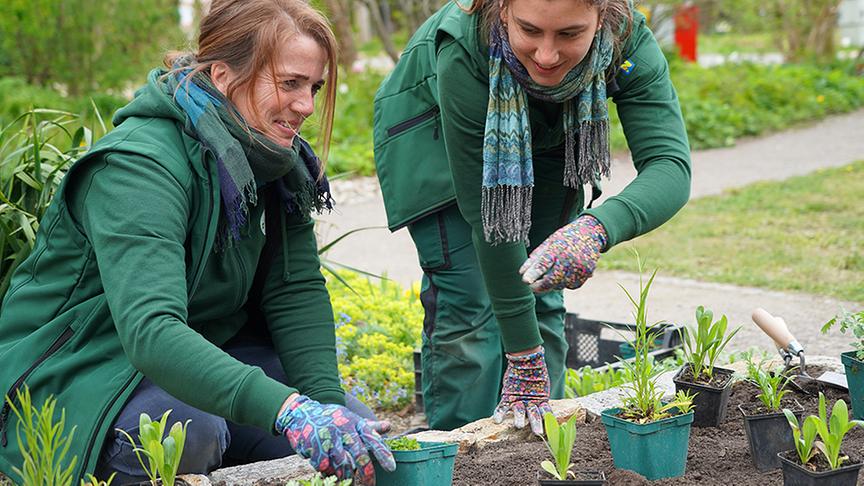 © Natur im Garten/ Leoplod Mayrhofer Die Gärtnerinnen der Garten Tulln legen einen Kraut- und Rüben-Garten an