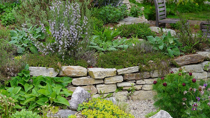 © Natur im Garten/ Leoplod Mayrhofer Die Gärtnerinnen der Garten Tulln legen einen Kraut- und Rüben-Garten an