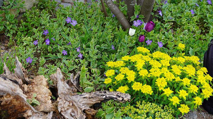 © Natur im Garten/ Leoplod Mayrhofer Die Gärtnerinnen der Garten Tulln legen einen Kraut- und Rüben-Garten an