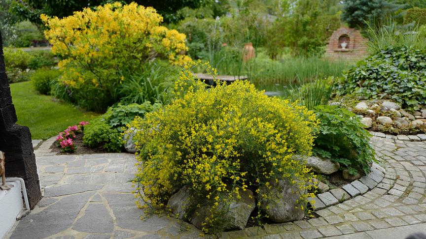 Der Landhausgarten - bepflanzt im Britischen Gartenstil - von Horst Hoier in Wildon bei Graz. 