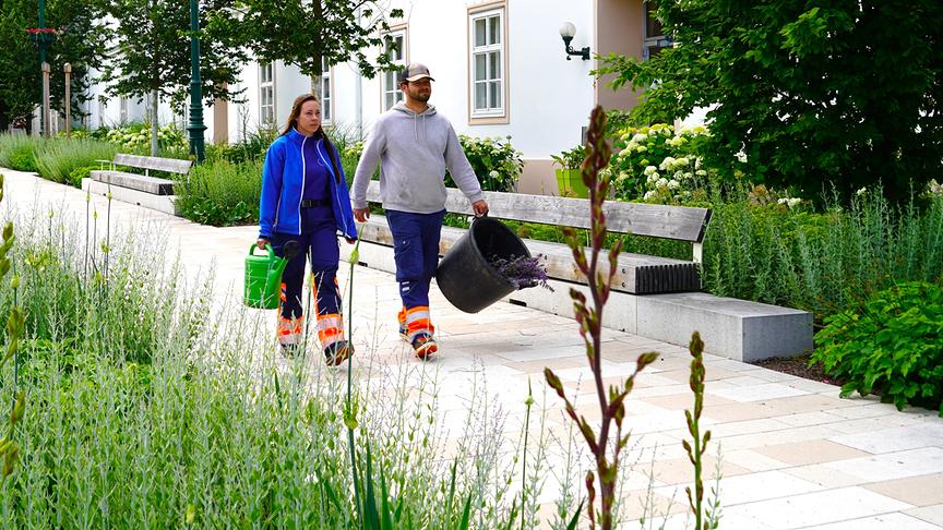 © Natur im Garten/ Leopold Mayrhofer Der Nibelungenplatz in Tulln ist ein gutes Beispiel für entsiegelte Flächen.