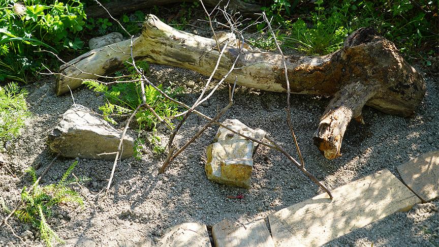 Die Gärtnerinnen legen ein Sandarium an