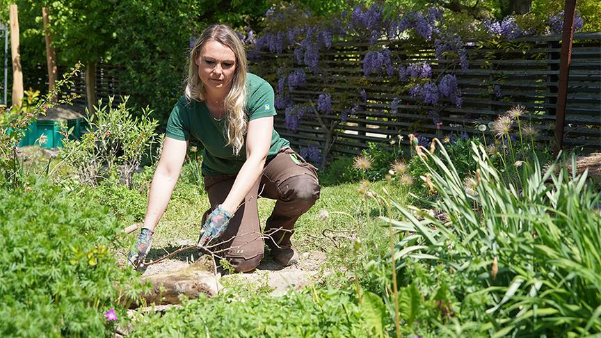 © Foto: Natur im Garten/ Leopold Mayrhofer Die Gärtnerinnen legen ein Sandarium an