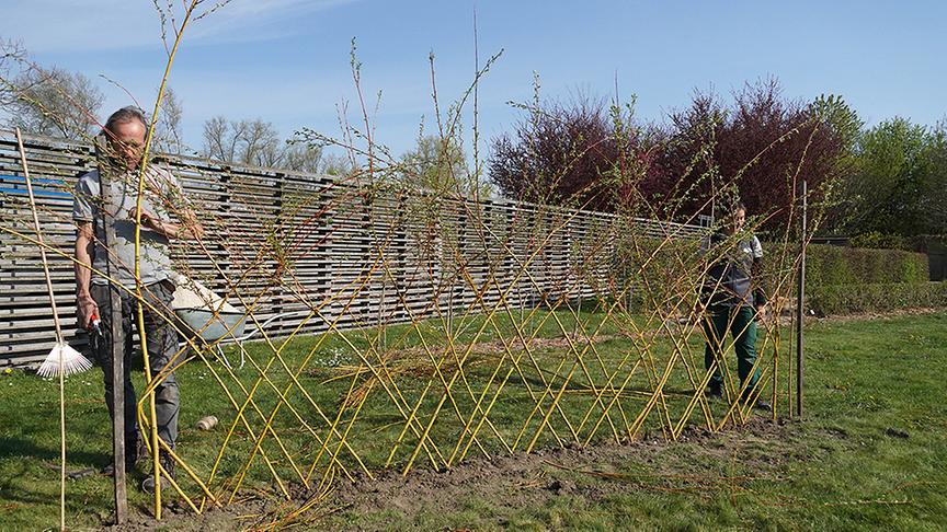 © Foto: Natur im Garten/ Leopold Mayerhofer So wird ein Weidenzaun gebaut.