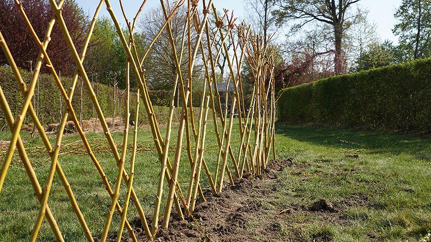 © Foto: Natur im Garten/ Leopold Mayerhofer So wird ein Weidenzaun gebaut.
