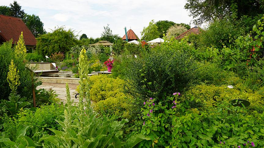 Gastgarten in Söchau
