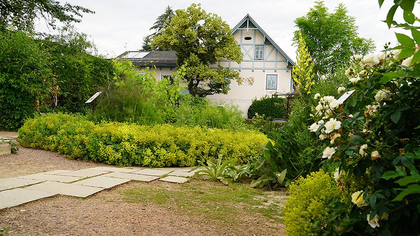 Gastgarten in Söchau