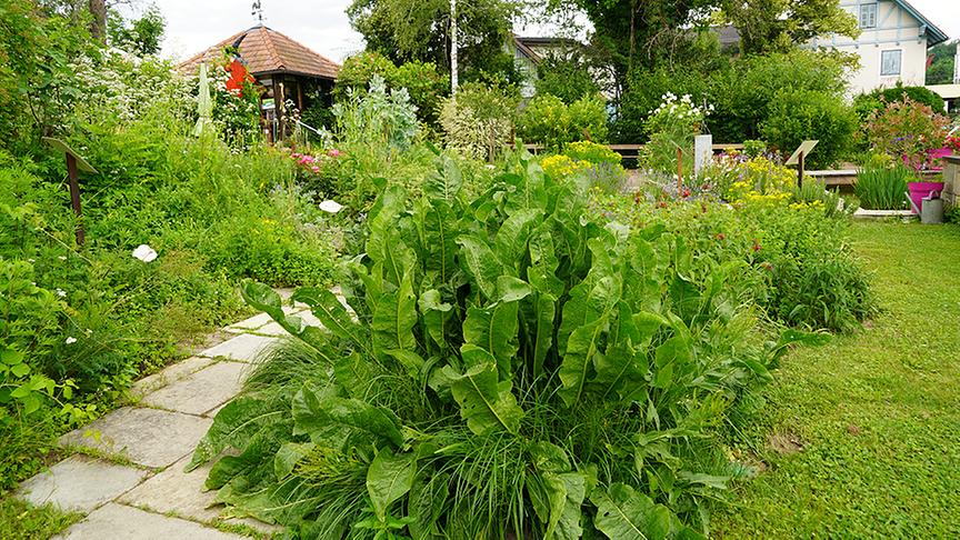 Gastgarten in Söchau