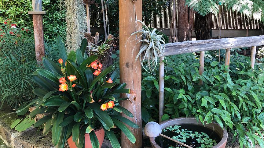 Einblick in den Gastgarten in Graz.