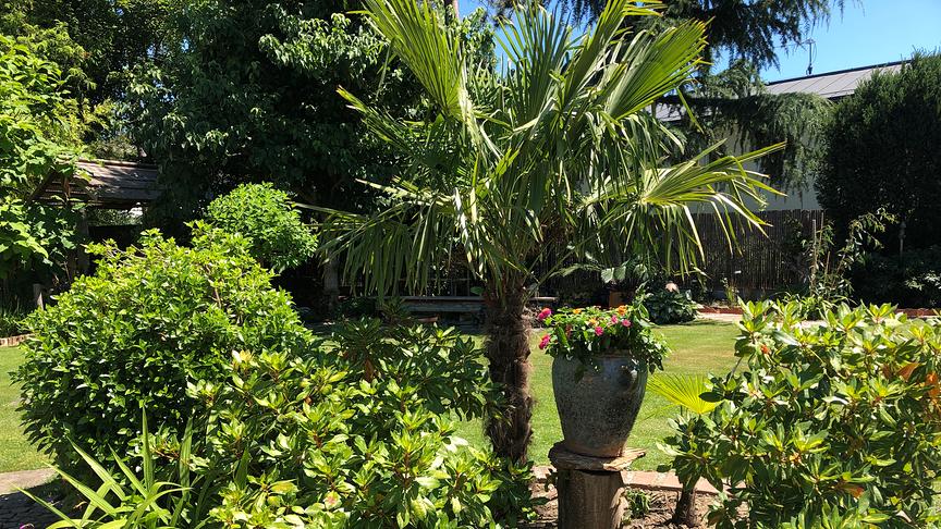 Einblick in den Gastgarten in Graz.
