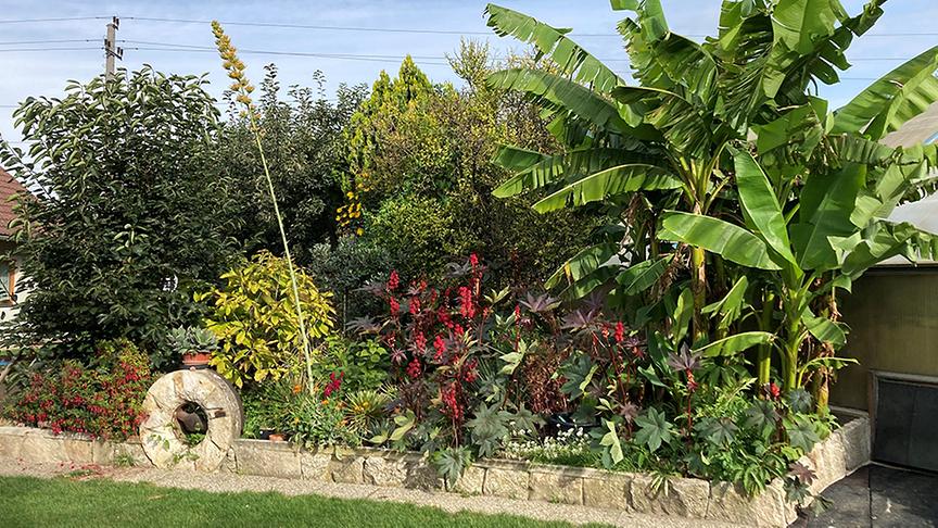 Der Wüstengarten von Herbert Strubreiter.