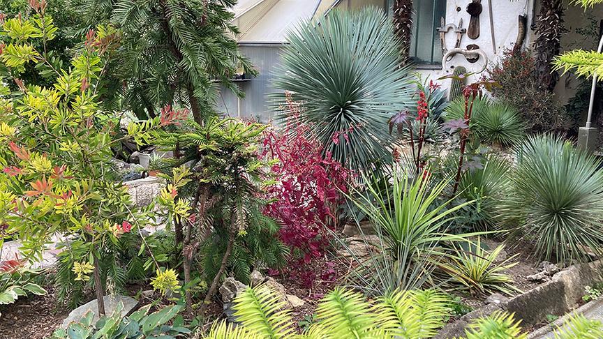 Der Wüstengarten von Herbert Strubreiter.