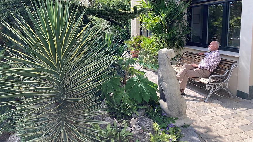 Der Wüstengarten von Herbert Strubreiter.