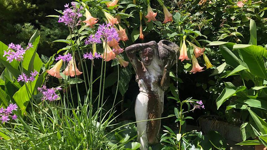 © Natur im Garten/ Lena Weithofer Der Garten von Franziska Käfer.