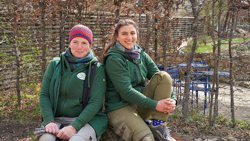 Ein speziell angelegtes Beet zur Versickerung von Regenwasser im eigenen Garten erschafft ein eigenes Mikroklima und fördert die Artenvielfalt.