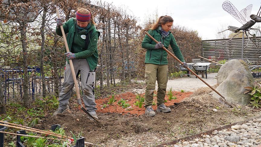 © Natur im Garten/ Leopold Mayrhofer Ein speziell angelegtes Beet zur Versickerung von Regenwasser im eigenen Garten erschafft ein eigenes Mikroklima und fördert die Artenvielfalt.