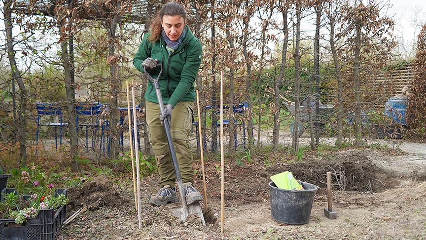 Ein speziell angelegtes Beet zur Versickerung von Regenwasser im eigenen Garten erschafft ein eigenes Mikroklima und fördert die Artenvielfalt.