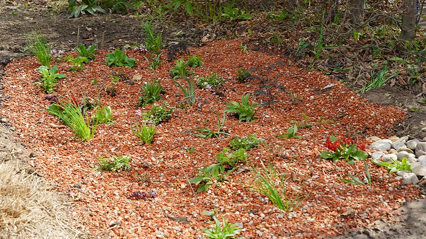 © Natur im Garten/ Leopold Mayrhofer Ein speziell angelegtes Beet zur Versickerung von Regenwasser im eigenen Garten erschafft ein eigenes Mikroklima und fördert die Artenvielfalt.