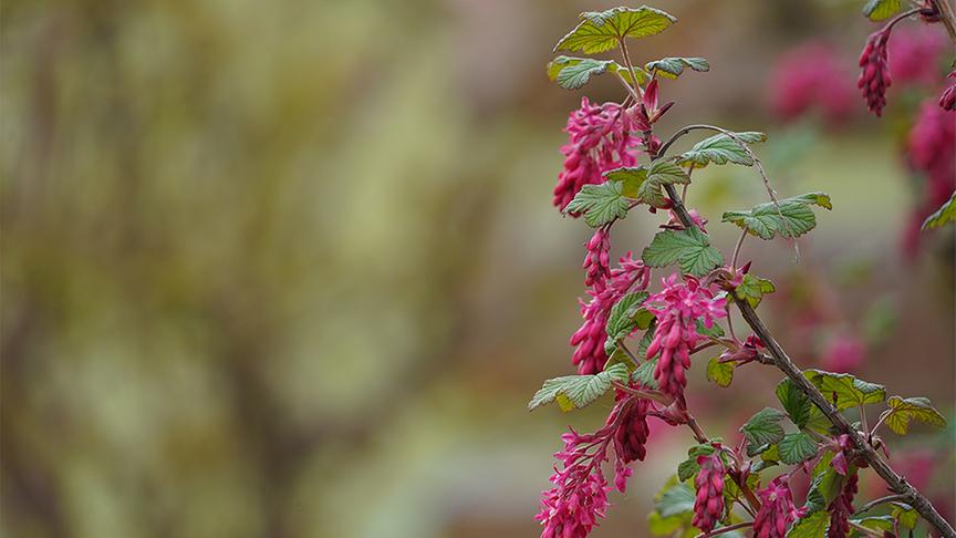 Zu Besuch im naturbelassenen Garten von Hannes Sailer