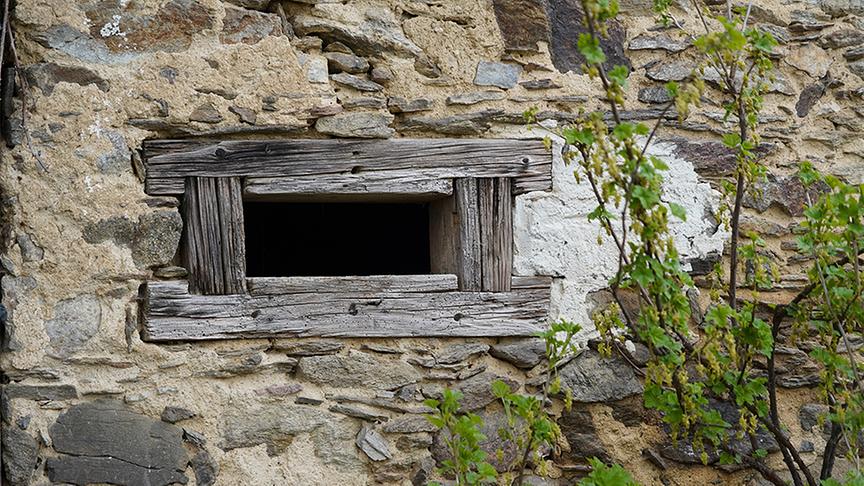 Zu Besuch im naturbelassenen Garten von Hannes Sailer