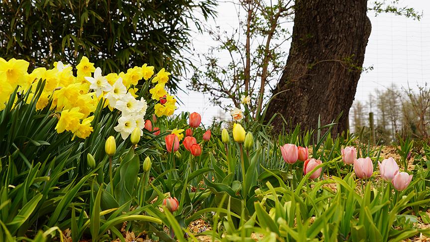 Zu Besuch im naturbelassenen Garten von Hannes Sailer