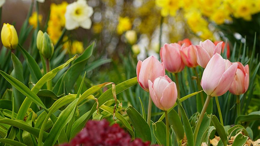 Zu Besuch im naturbelassenen Garten von Hannes Sailer
