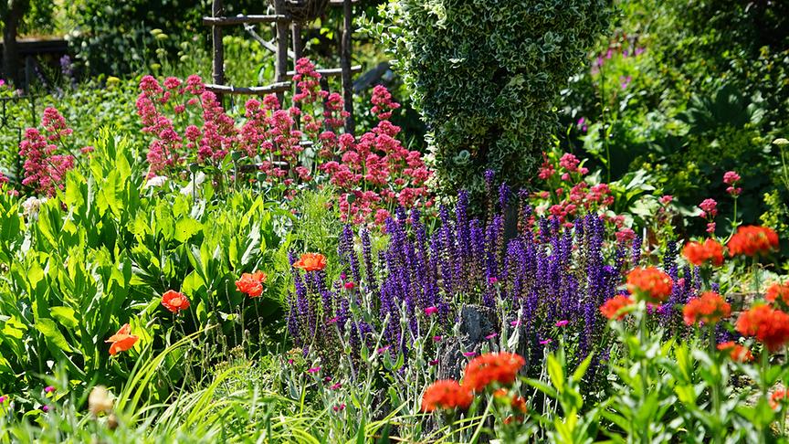 Blick in den Gastgarten.