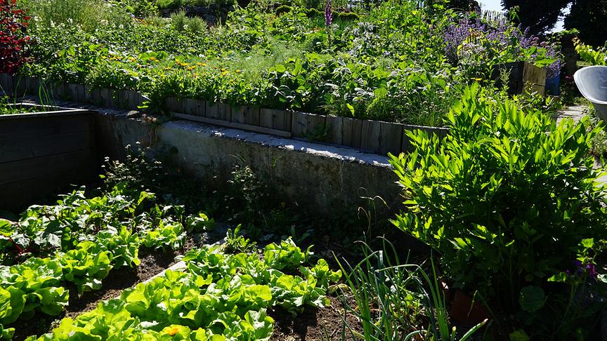 Blick in den Gastgarten.