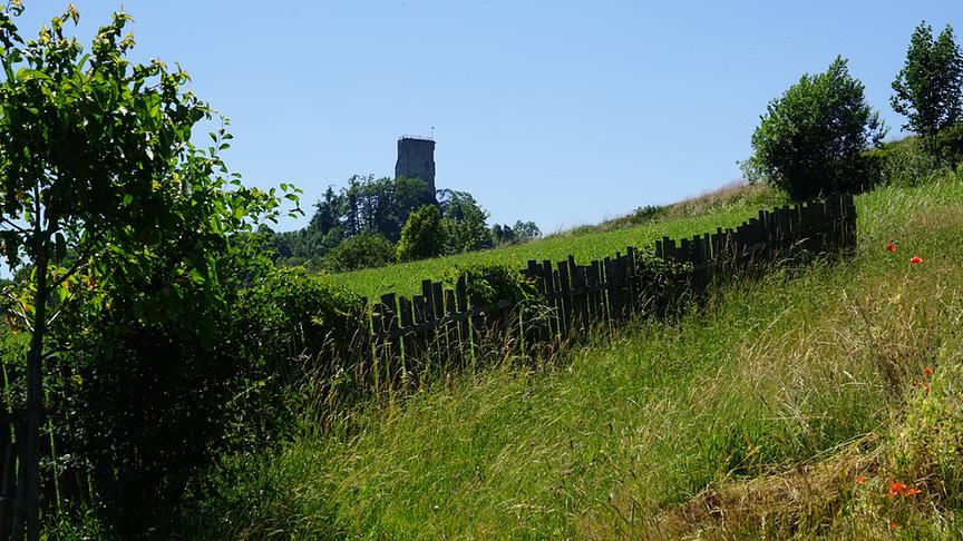 Blick in den Gastgarten.