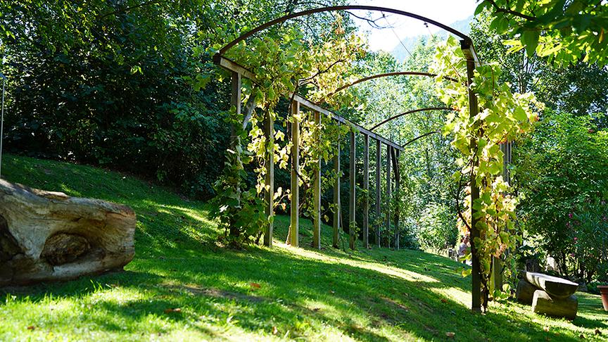 Der Schaugarten nach Hildegard von Bingen in Reith.