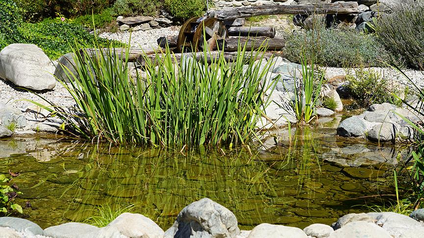 Der Schaugarten nach Hildegard von Bingen in Reith.