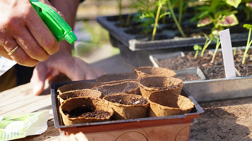 Karl Ploberger gibt Tipps zur Aussaat