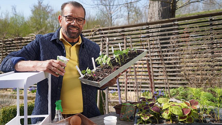 Karl Ploberger gibt Tipps zur Aussaat