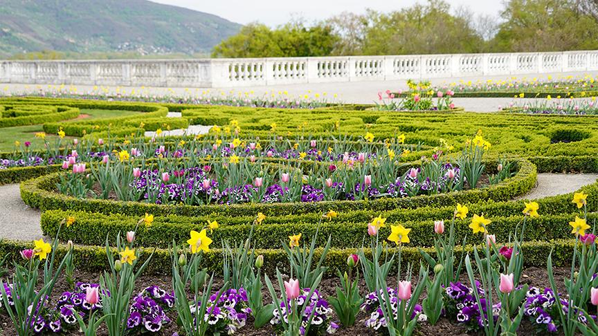 Die Gartenanlage von Schloss Hof