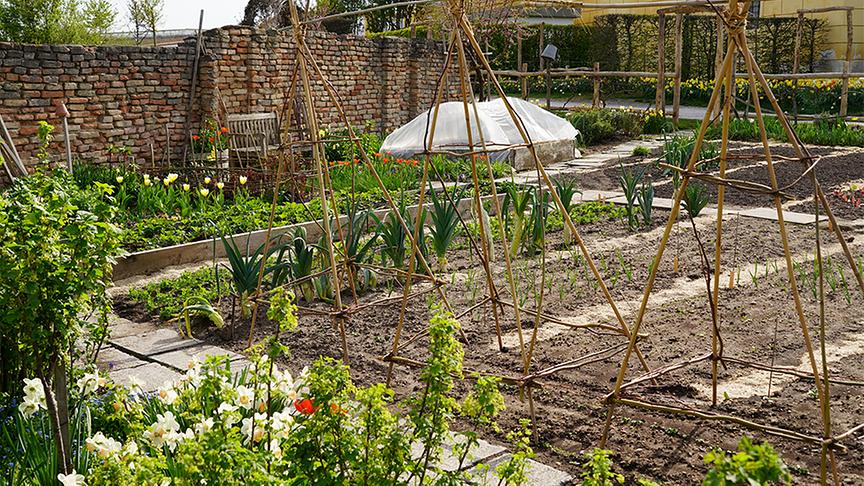 Die Gartenanlage von Schloss Hof