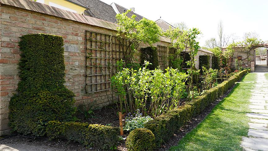 Die Gartenanlage von Schloss Hof