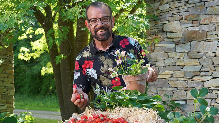 © Natur im Garten/ Leopold Mayrhofer Karl Ploberger gibt Tipps zum Anbau von Erdbeeren