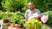 Karl Ploberger stellt die Pfingstrose vor.