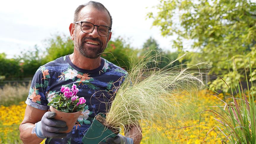 Karl Ploberger mit Chrysanthemen und dekroativen Gräsern.