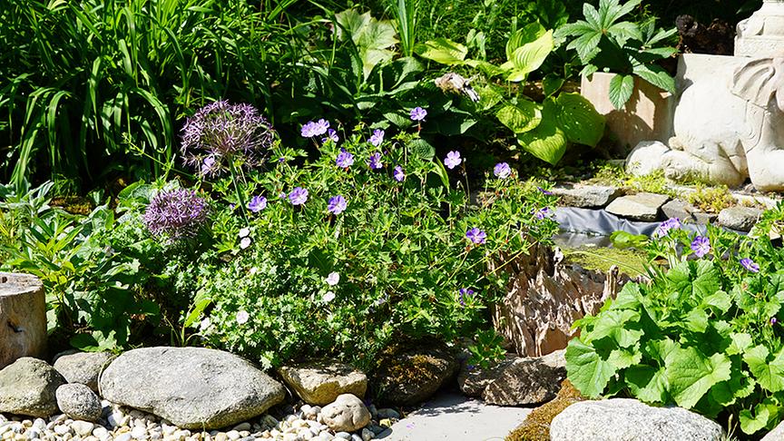 Der Garten von Gabriele und Franz Hochreiter ist asiatisch inspiriert.
