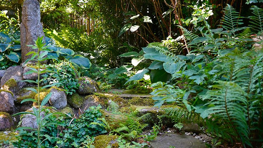 Der Garten von Gabriele und Franz Hochreiter ist asiatisch inspiriert.