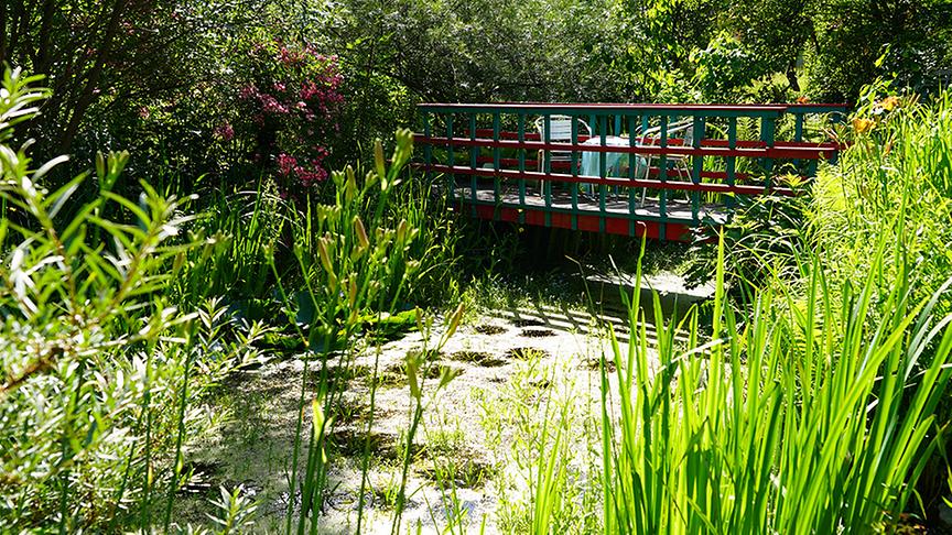 Der Garten von Gabriele und Franz Hochreiter ist asiatisch inspiriert.