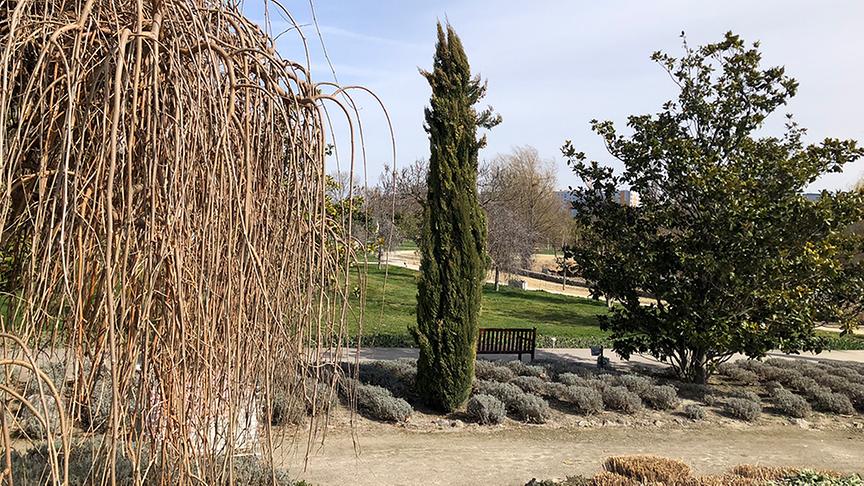 © Lena Weithofer Blumengarten Hirschstetten