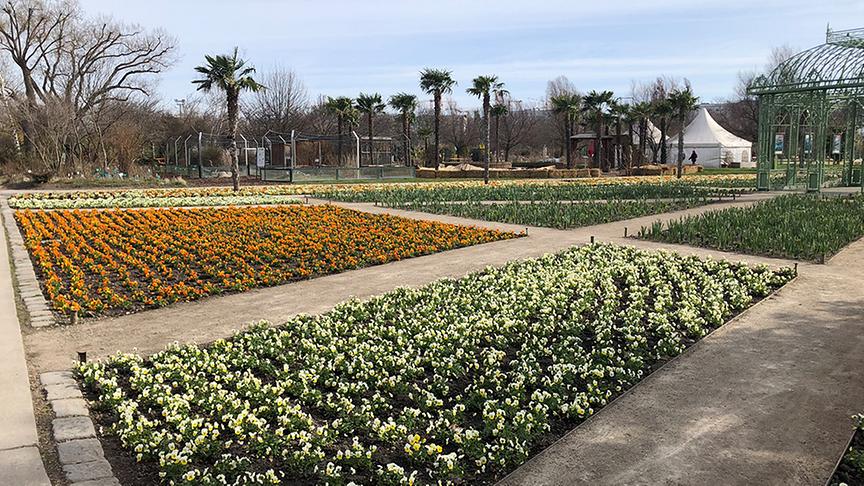 © Lena Weithofer Blumengarten Hirschstetten