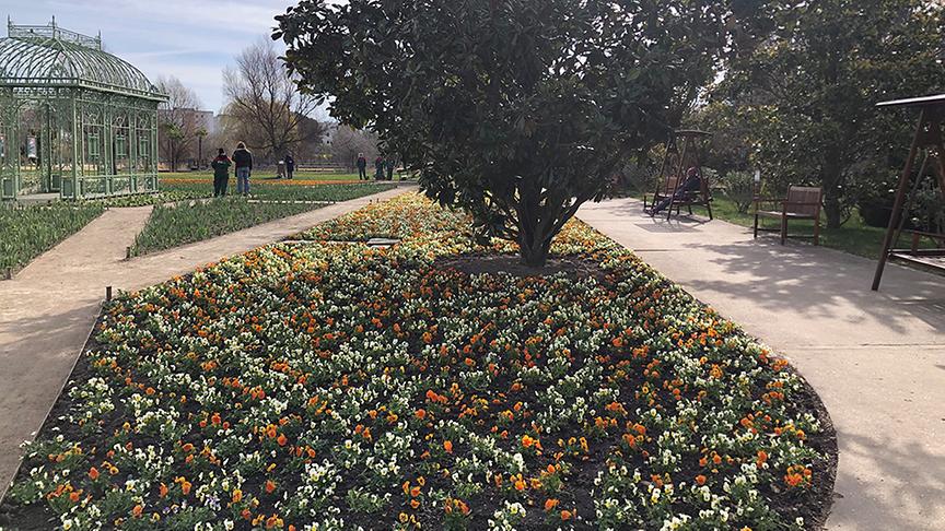 © Lena Weithofer Blumengarten Hirschstetten