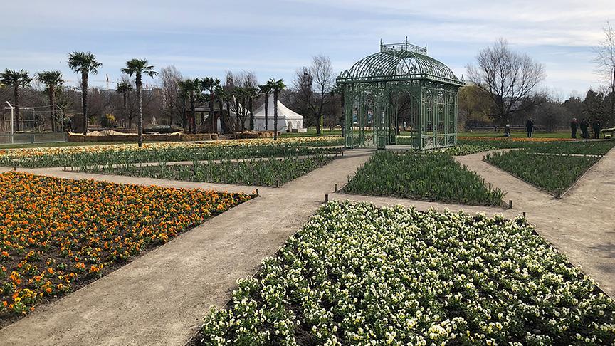 © Lena Weithofer Blumengarten Hirschstetten