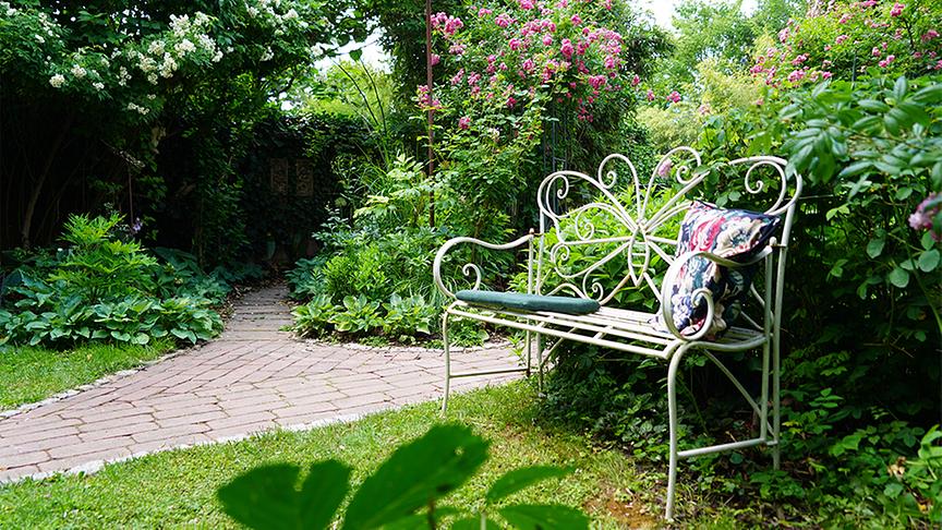 © Leopold Mayrhofer Martina und Haimo Ungersböck zeigen ihren bereits im Frühsommer besuchten besonderen Garten in Mistelbach im niederösterreichischen Weinviertel.