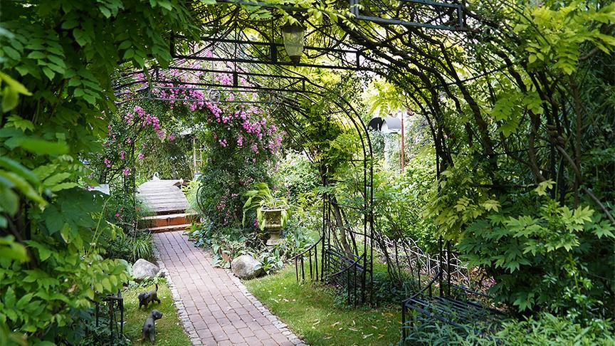 © Leopold Mayrhofer Martina und Haimo Ungersböck zeigen ihren bereits im Frühsommer besuchten besonderen Garten in Mistelbach im niederösterreichischen Weinviertel.