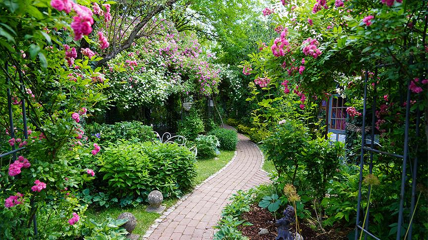 © Leopold Mayrhofer Martina und Haimo Ungersböck zeigen ihren bereits im Frühsommer besuchten besonderen Garten in Mistelbach im niederösterreichischen Weinviertel.