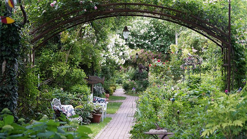 © Leopold Mayrhofer Martina und Haimo Ungersböck zeigen ihren bereits im Frühsommer besuchten besonderen Garten in Mistelbach im niederösterreichischen Weinviertel.